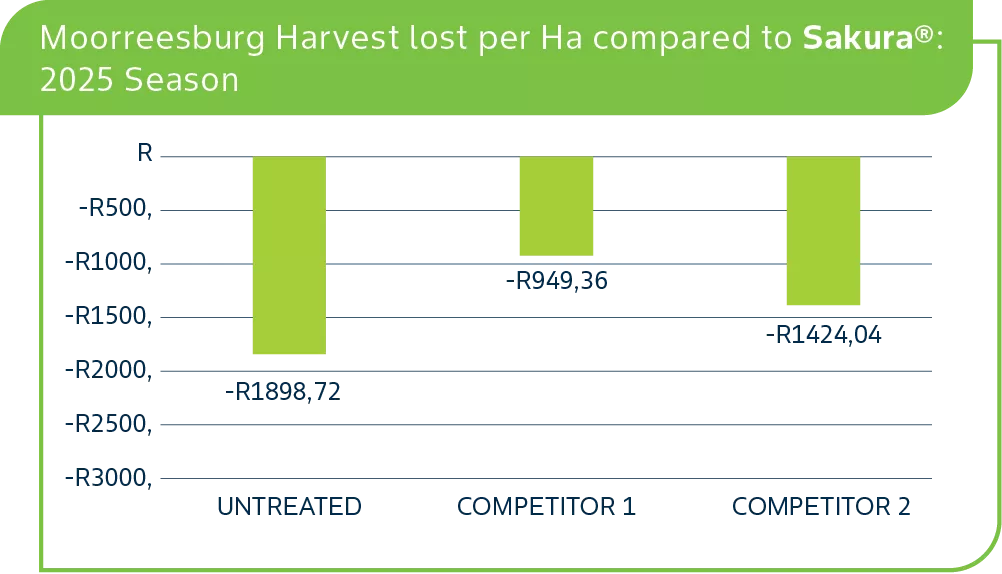 Moorreesburg Harvest 2.png